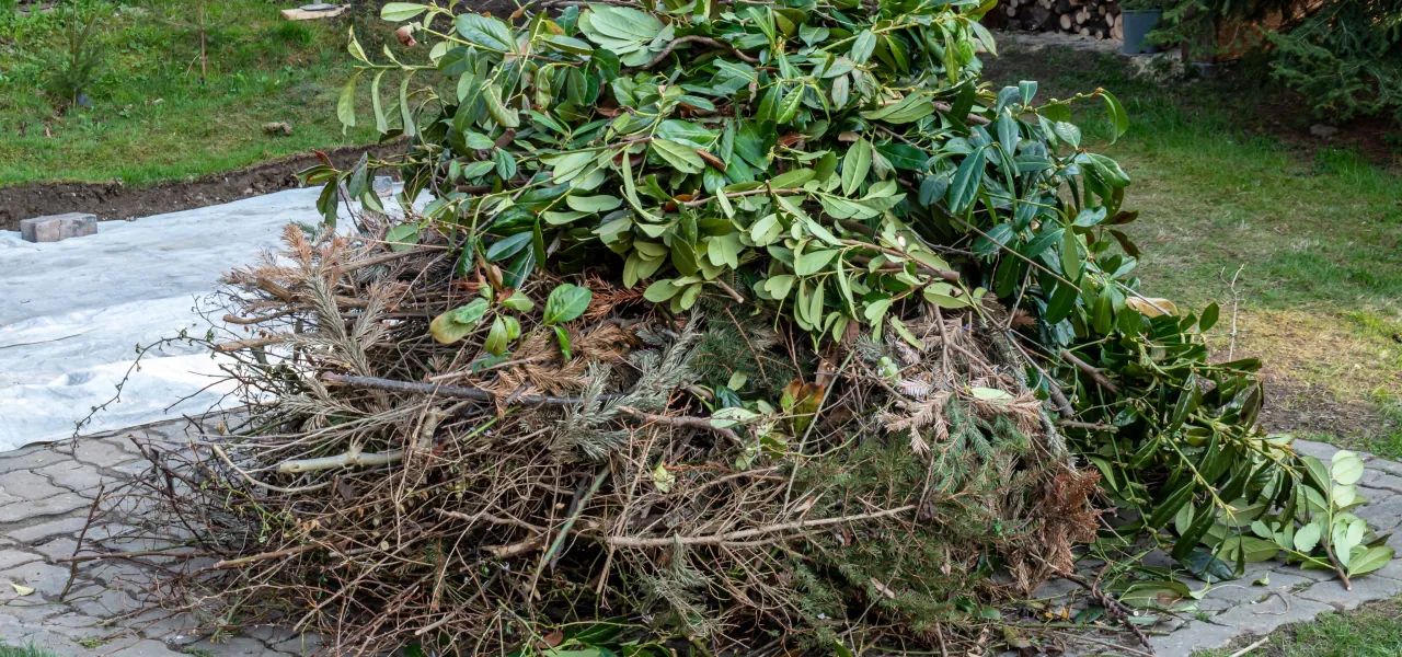 Rubbish ready for collection in Lewisham